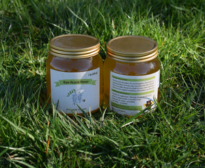 Acacia honey - Raw & Artisan